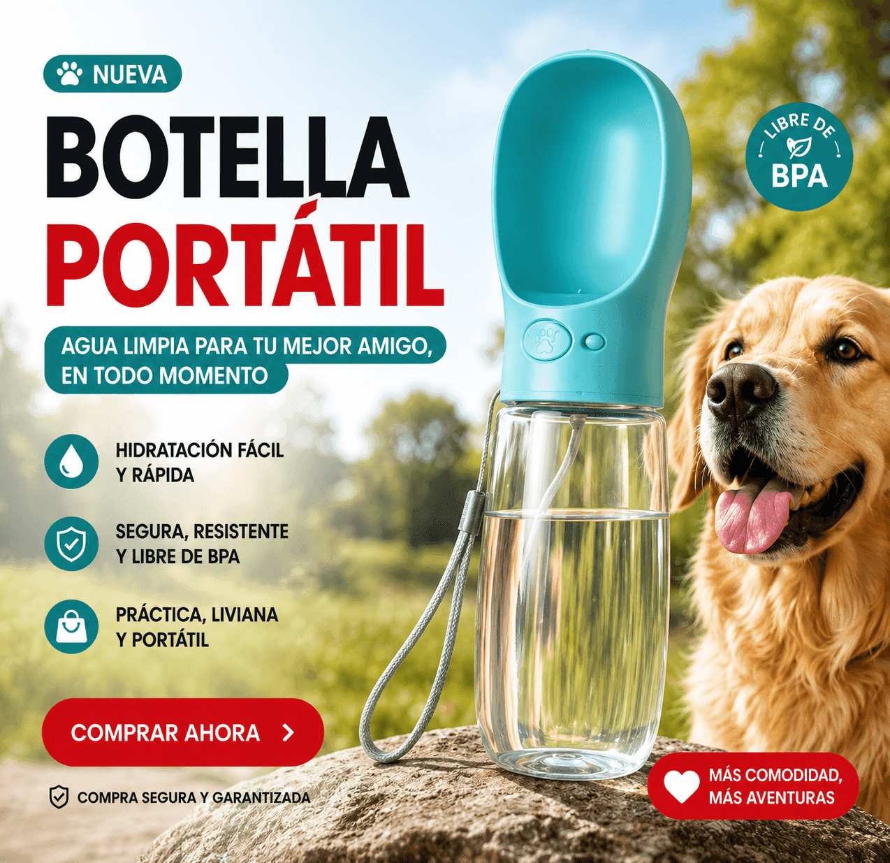 Kit Premium de Paseo para Perros